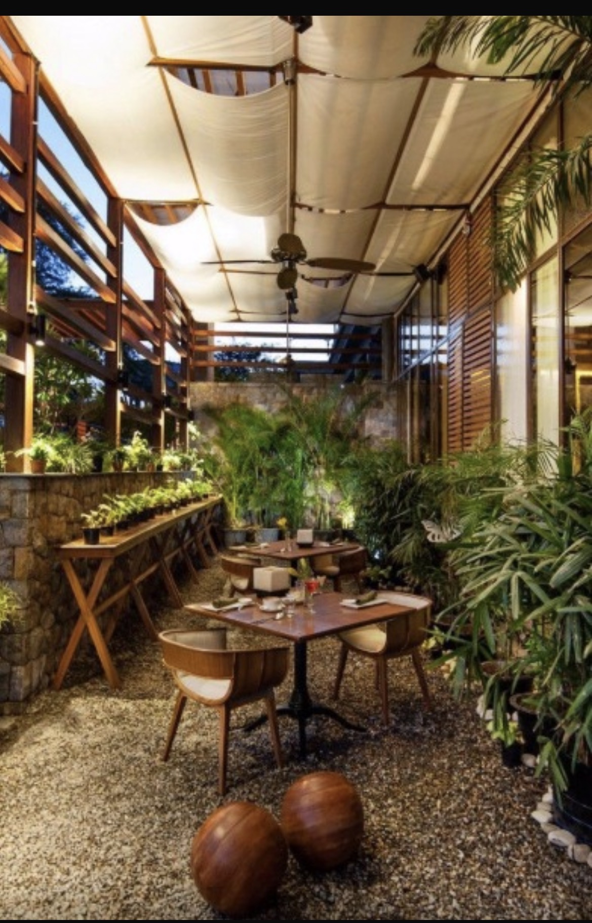 Mango Courtyard