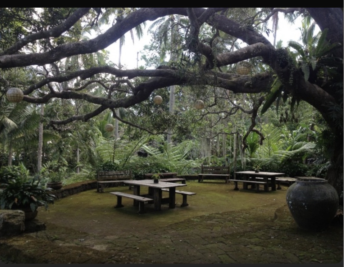 Mango Courtyard